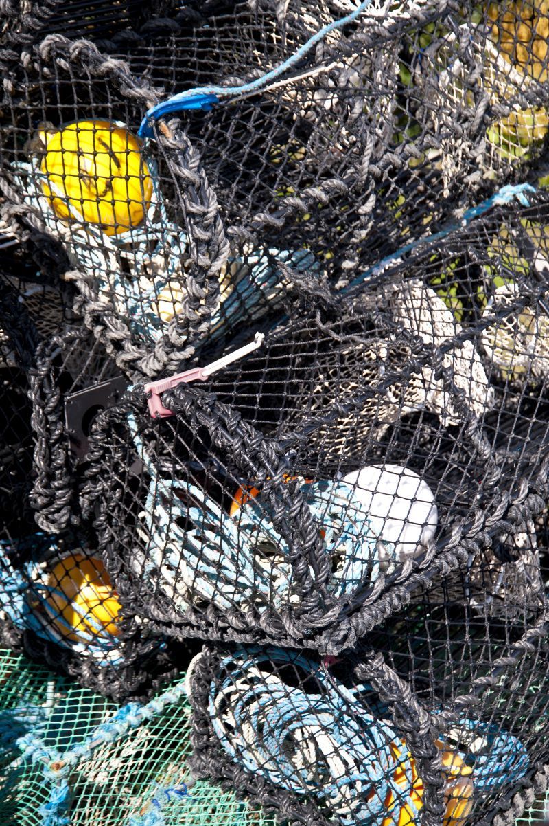 Undgå og smid skrald i havet