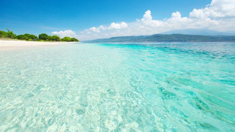 Tag en tur til stranden og nyd livet