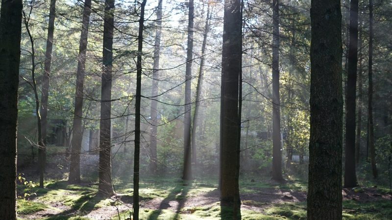 Snedkerkøkken – bæredygtighed