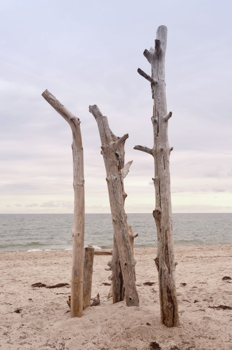 Strand og sommerhus