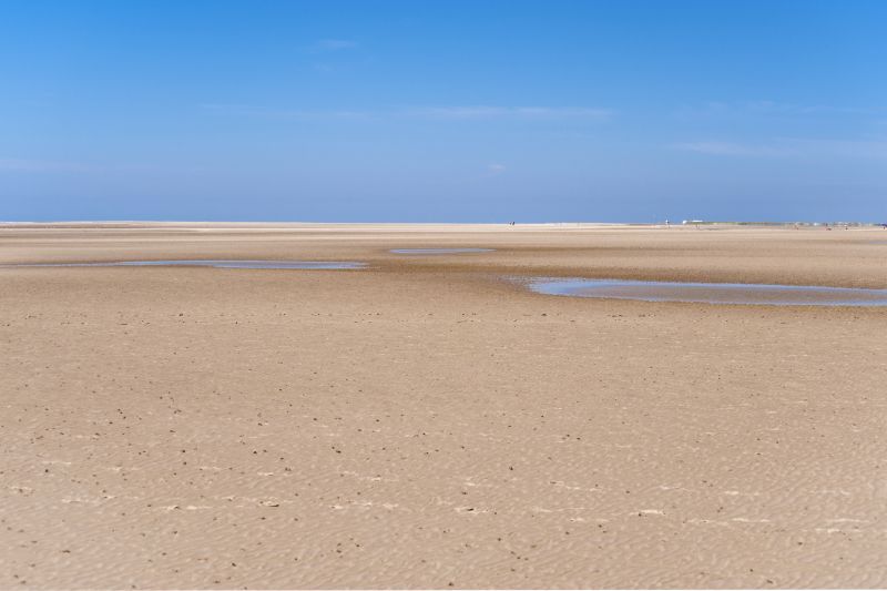 Giv naturen masser af plads i dit daglige liv