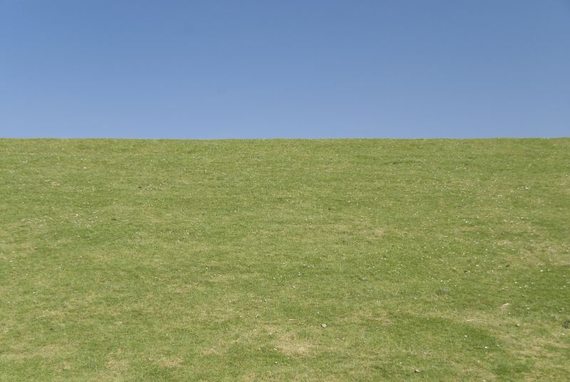 Fordyb dig i litteraturens verden