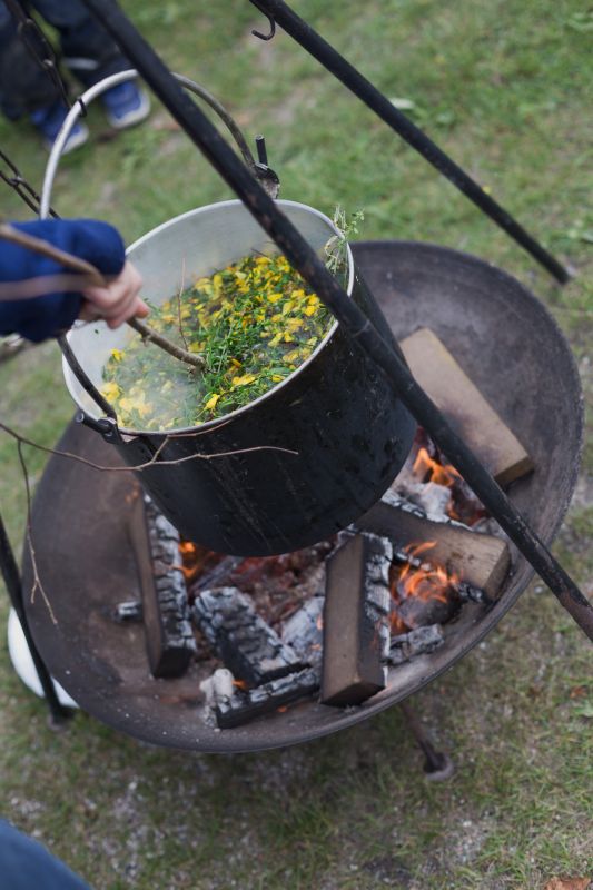Den rigtige skole til dit barn
