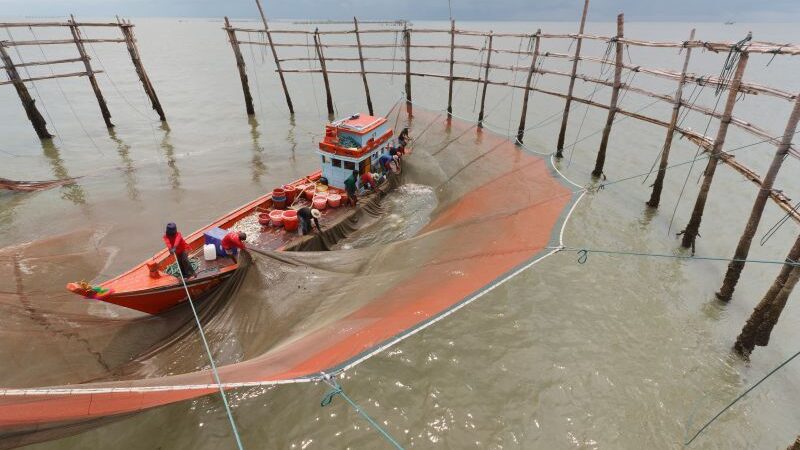 Giv dit grønne bidrag