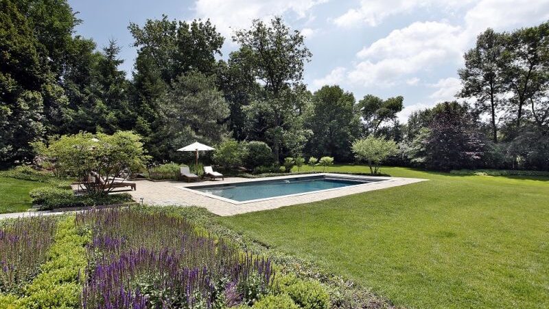 Wellmore – Få En Unik Oplevelse med Vildmarksbad